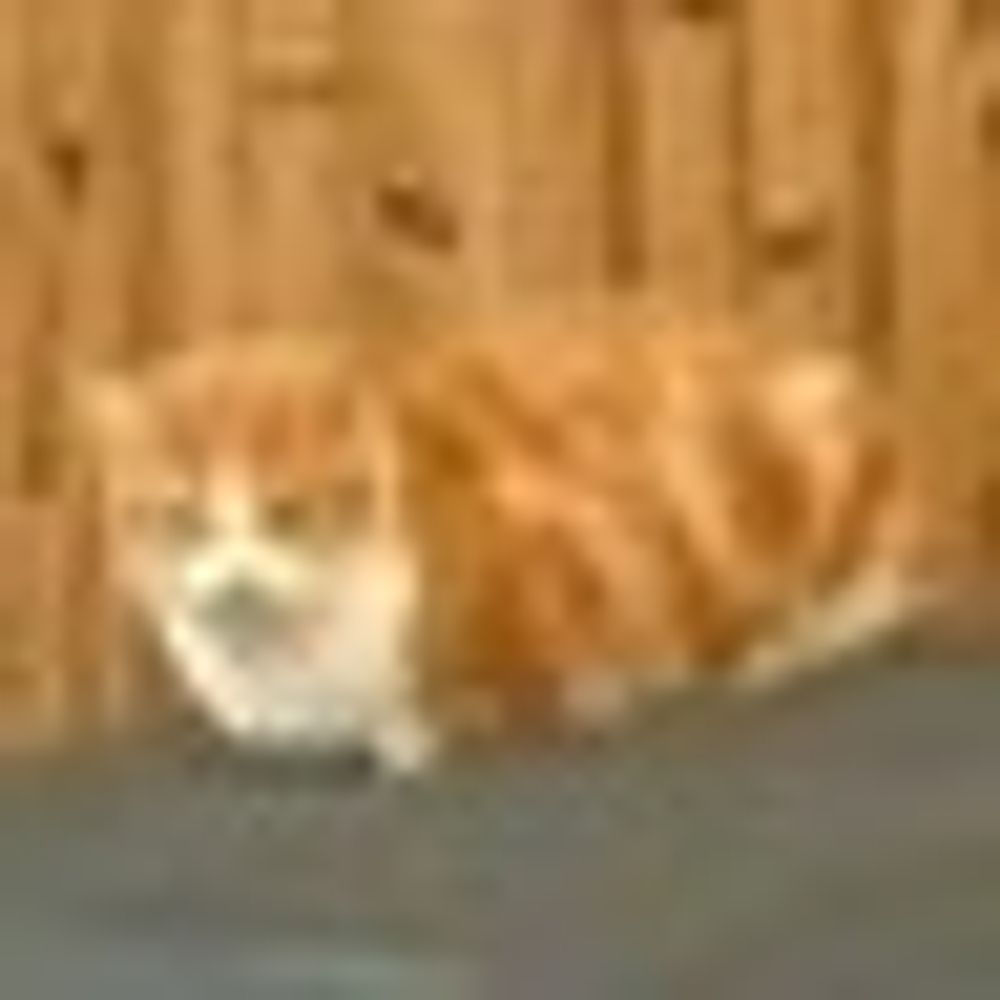 one