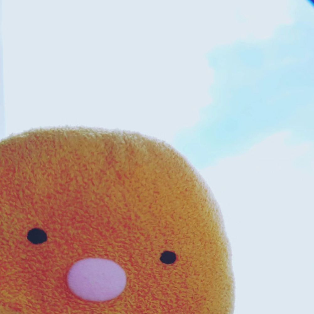 ももっコ335