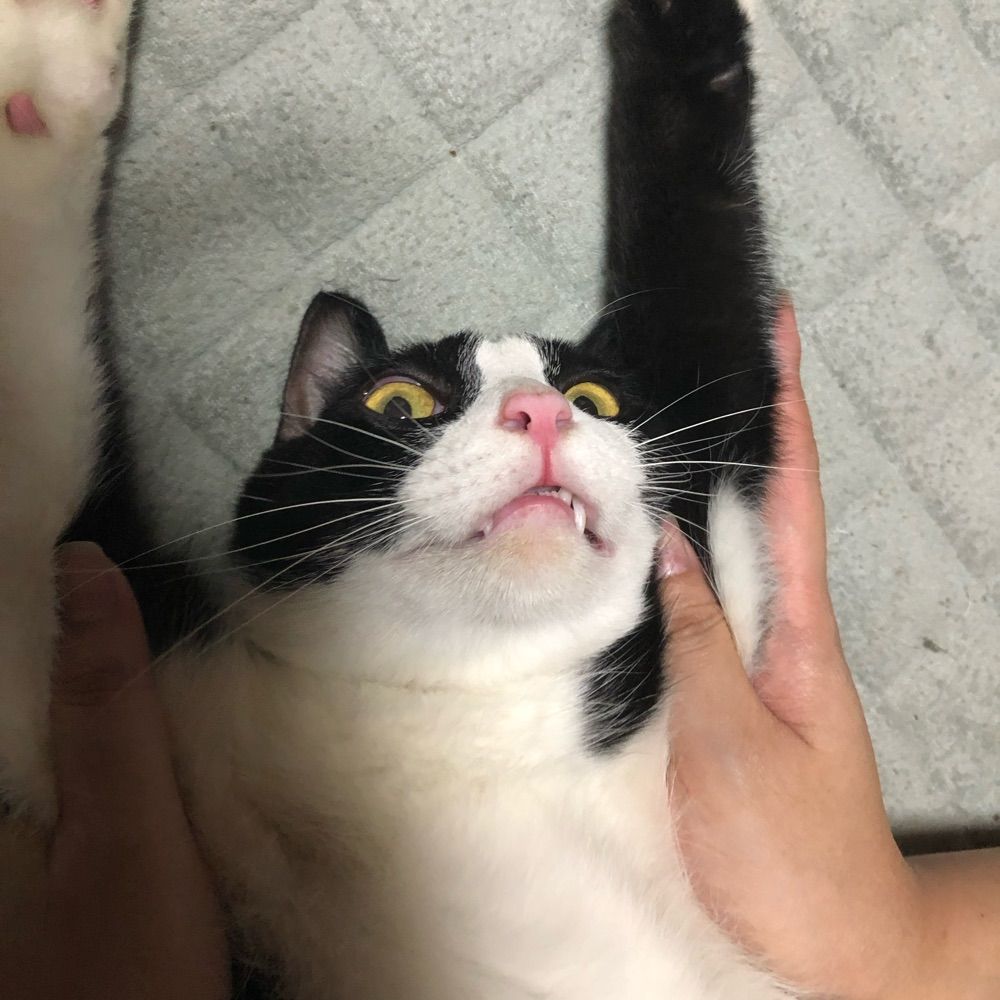 なぎさの