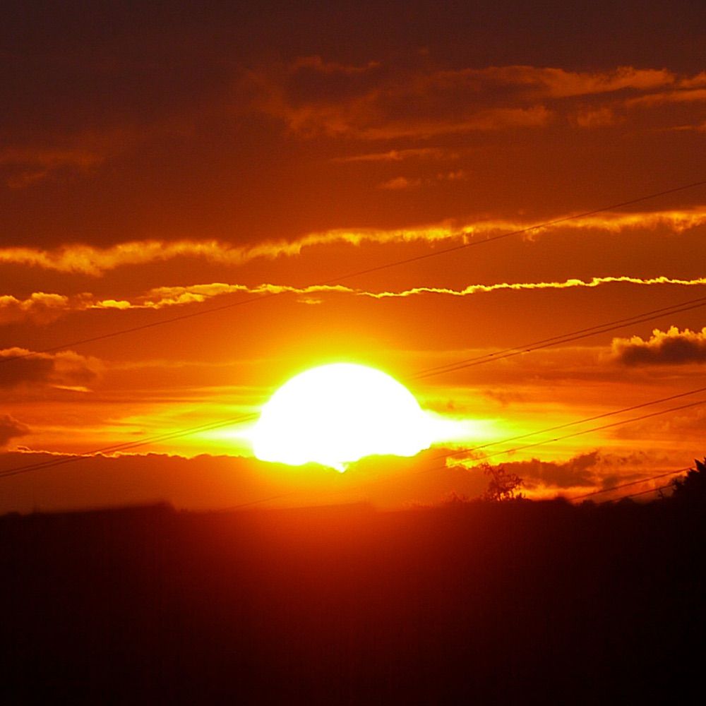 Sun🇵🇸🇺🇦