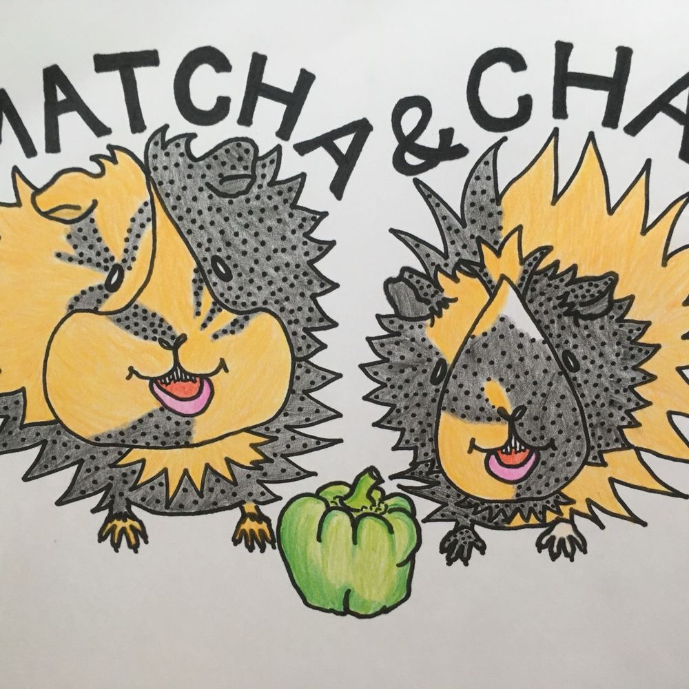 ゆらゆい(MATCHA&CHAI)