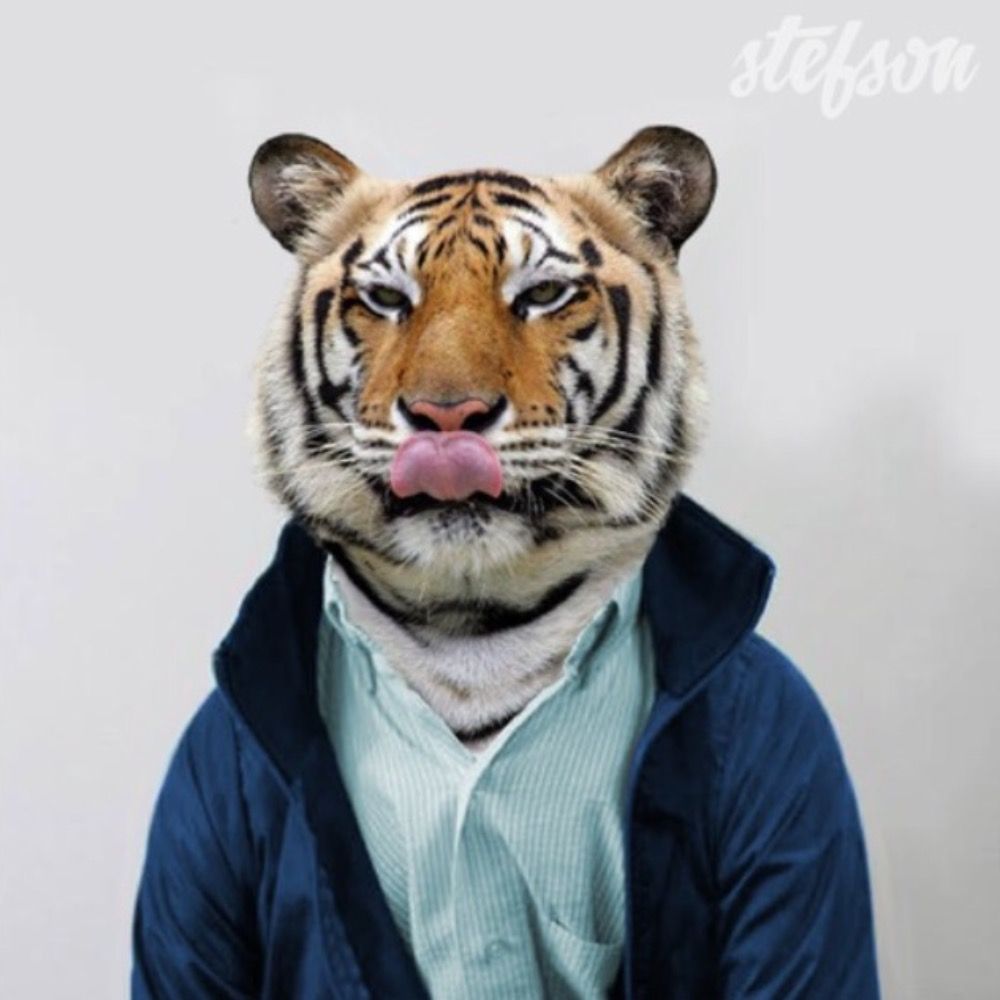 stefson