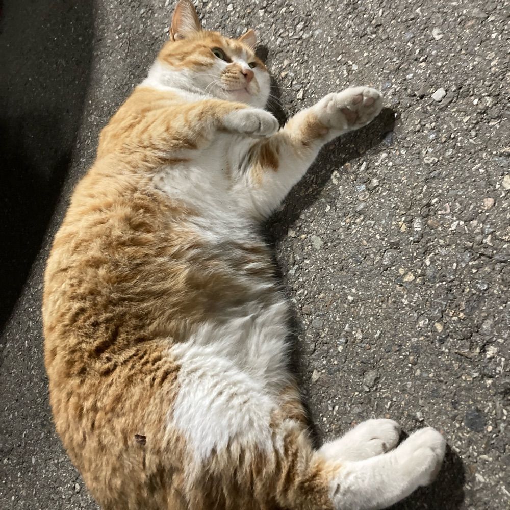 으악새