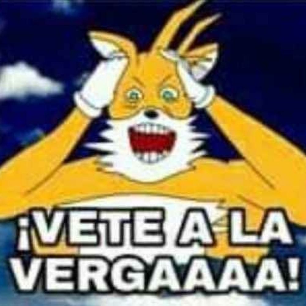 Zorro del año