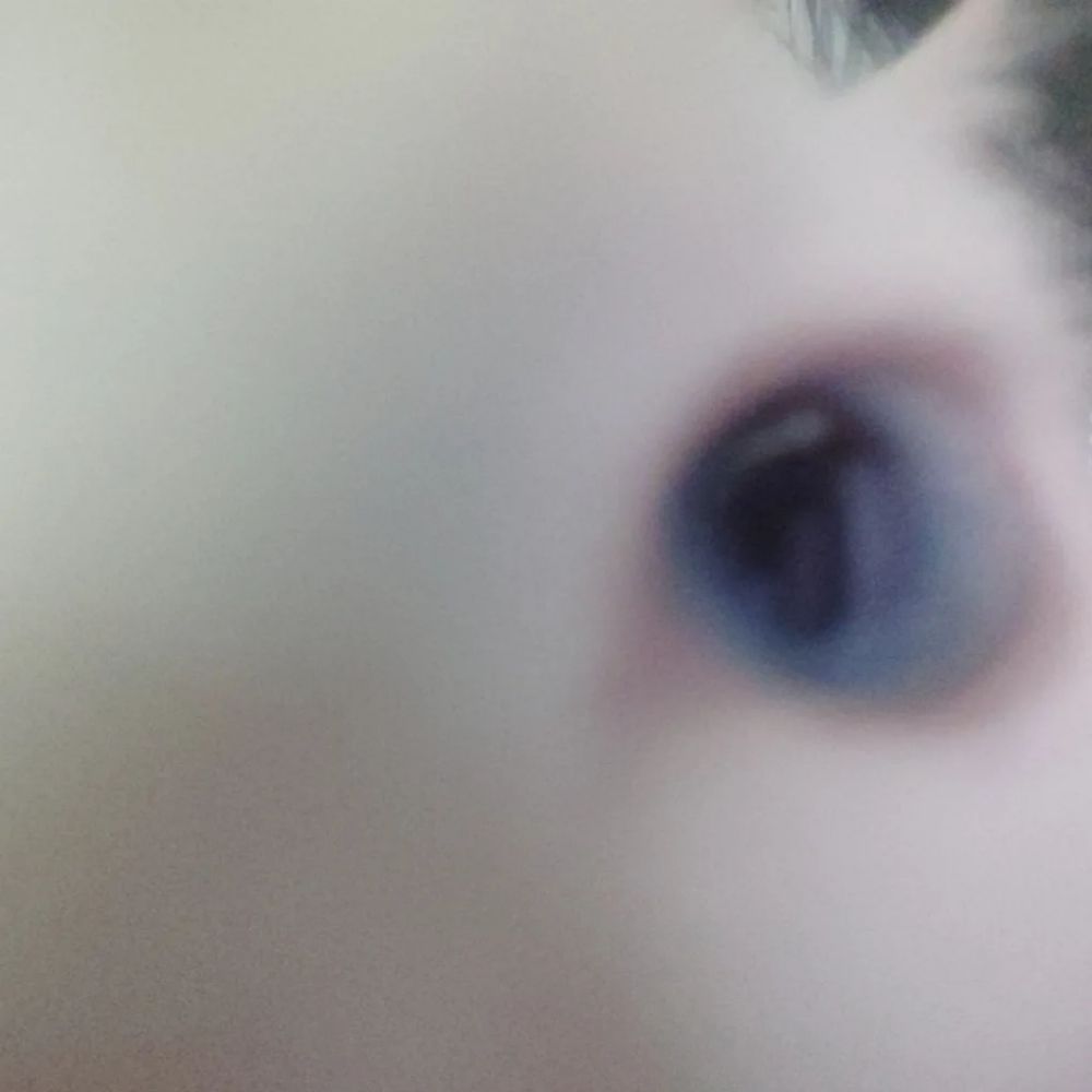 owttsair 