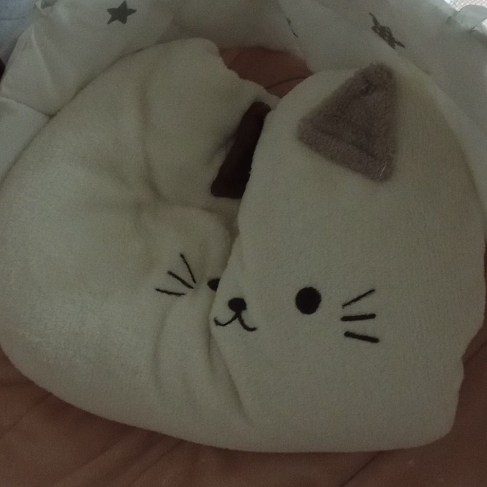 助手S