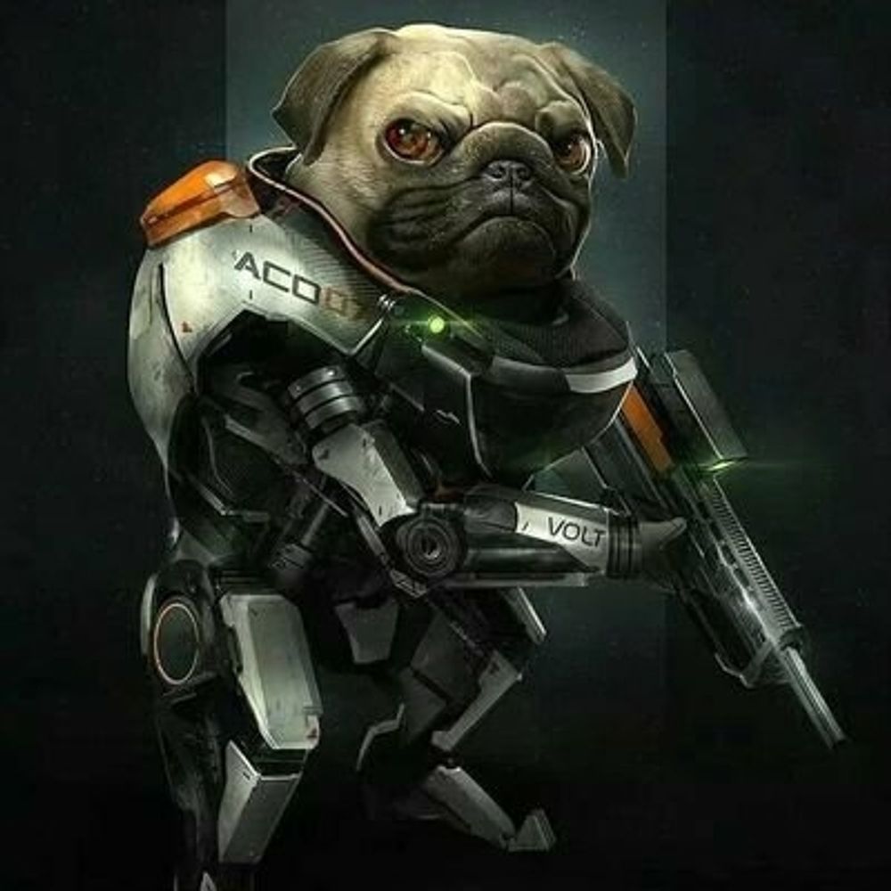 cyberpug