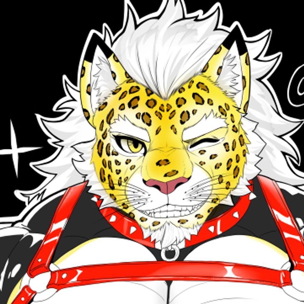 Rubberkitten/GalaxyCat
