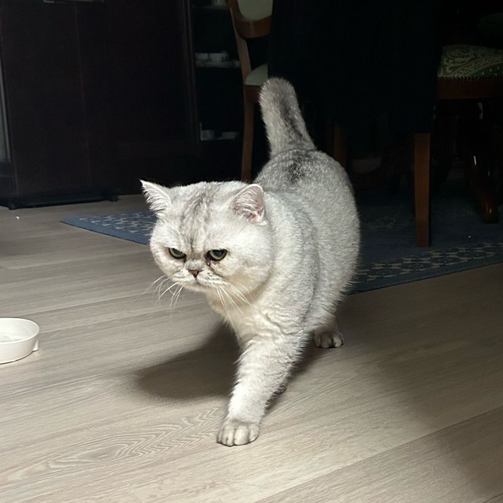 濱戸善