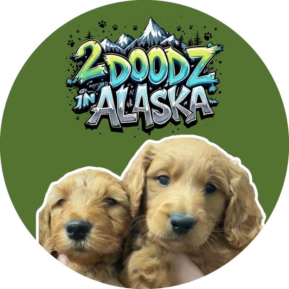 Cooper & Biscuit