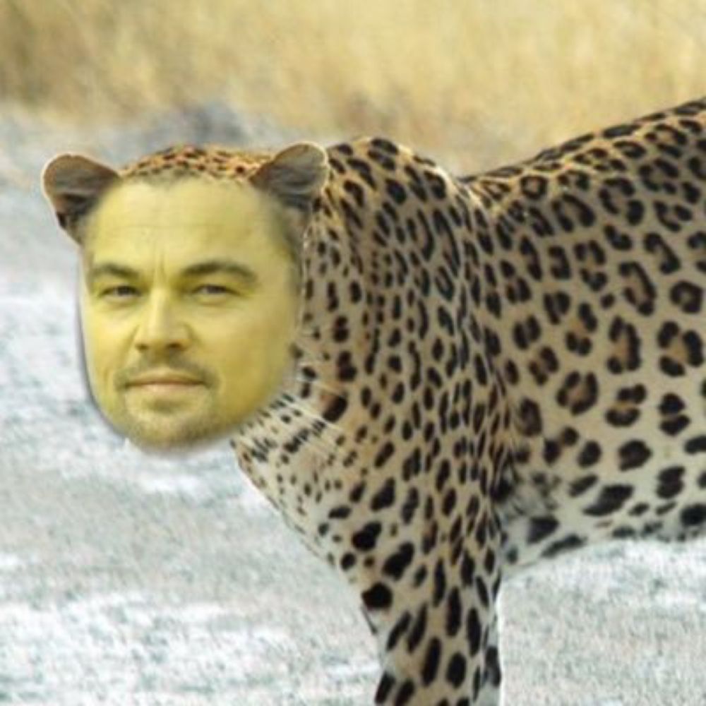 Leopardo Di Caprio
