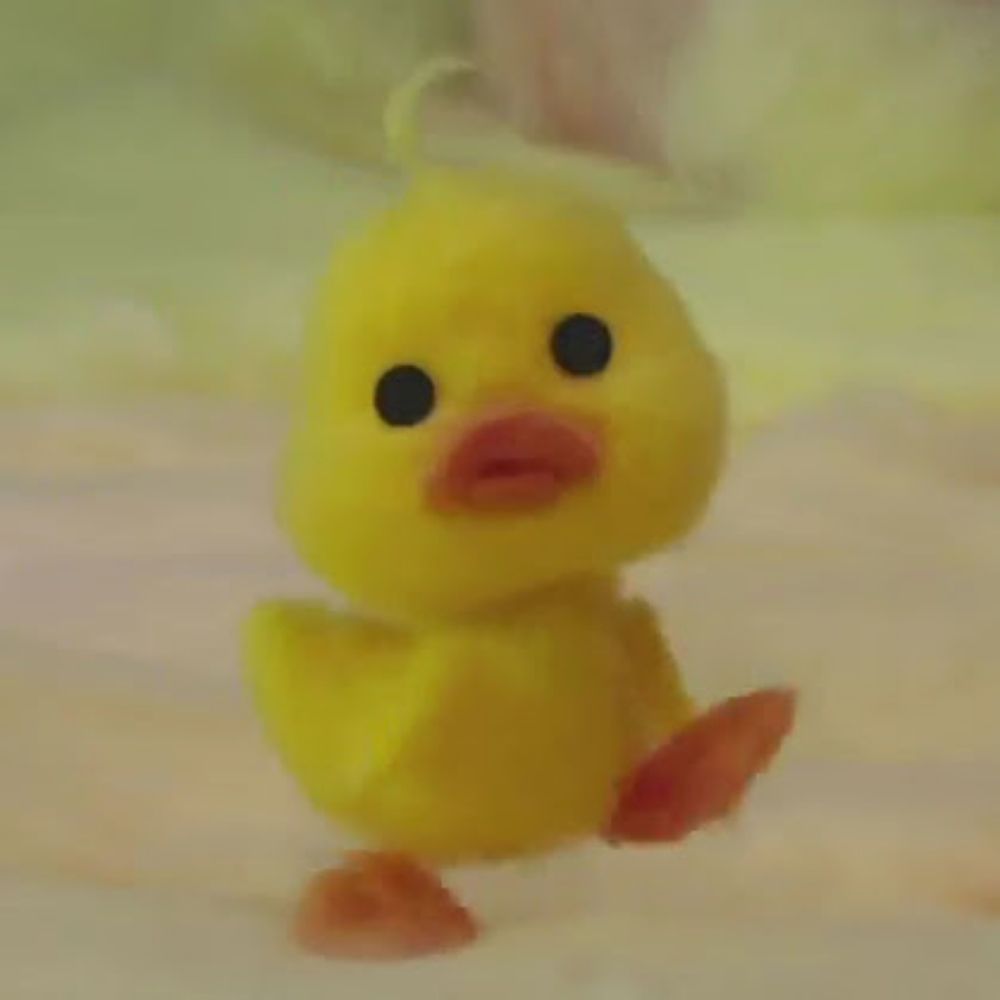 뚜씨