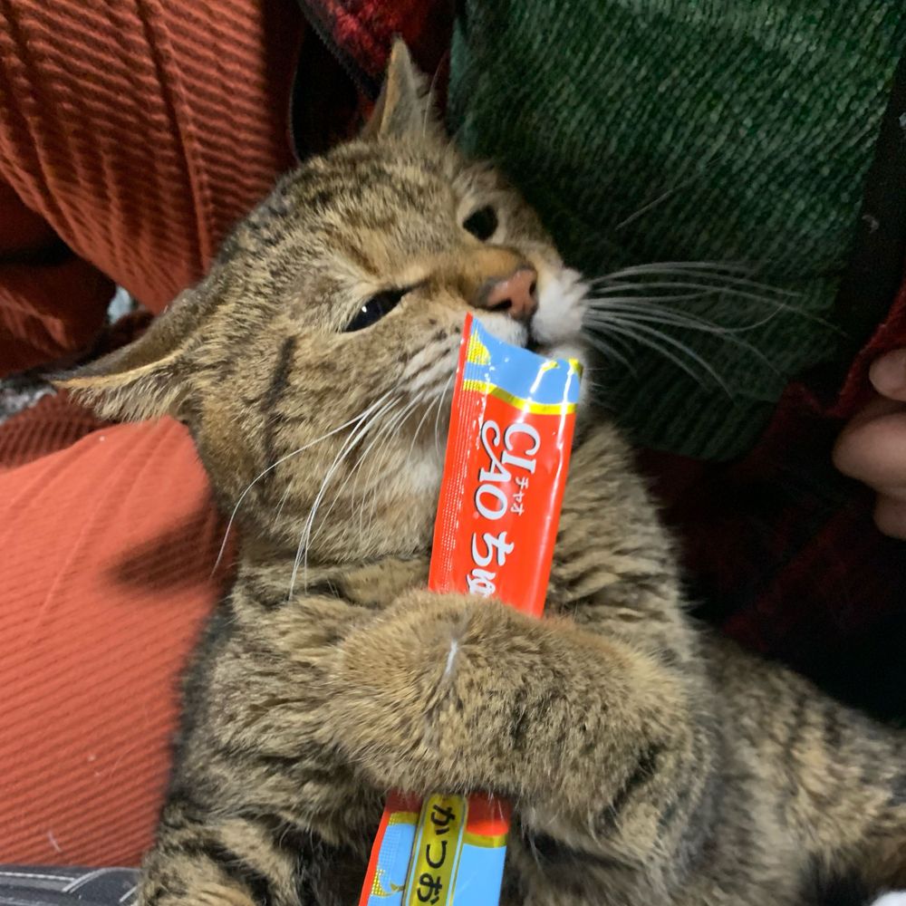 kiziko