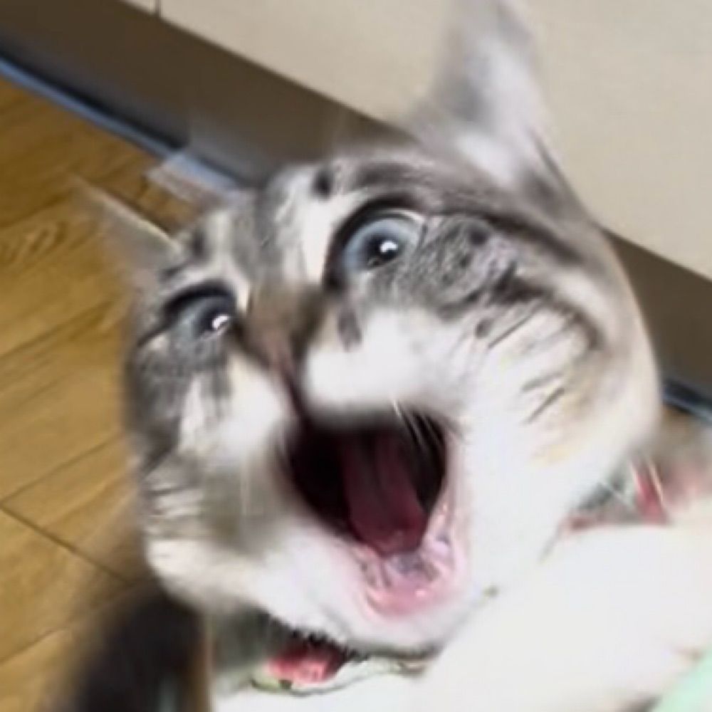 0b1111101000胡羅ァ情