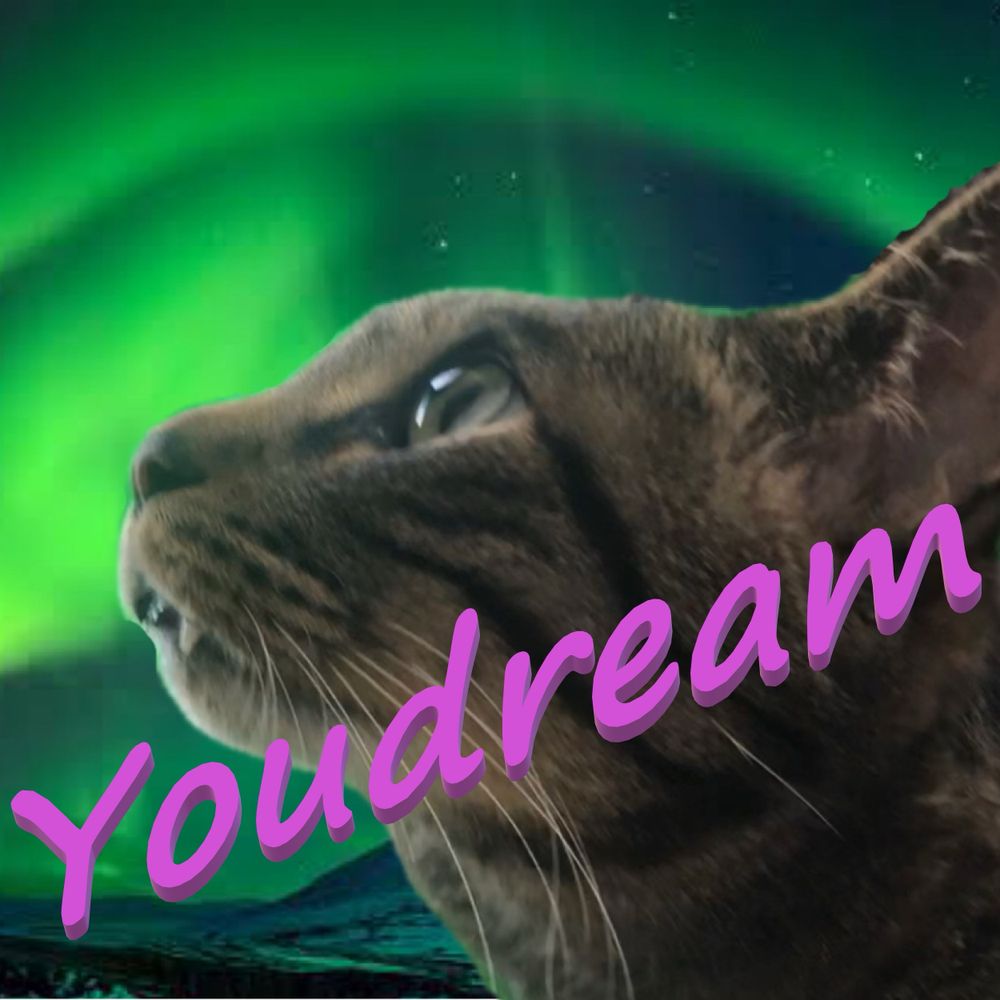 youdream