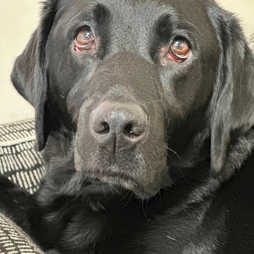 Walter