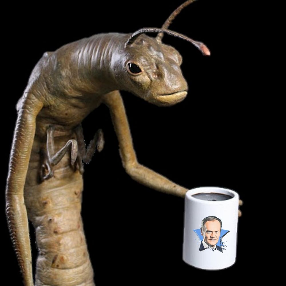 ciekawość świata
