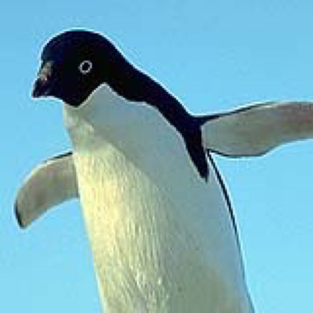 yutaka