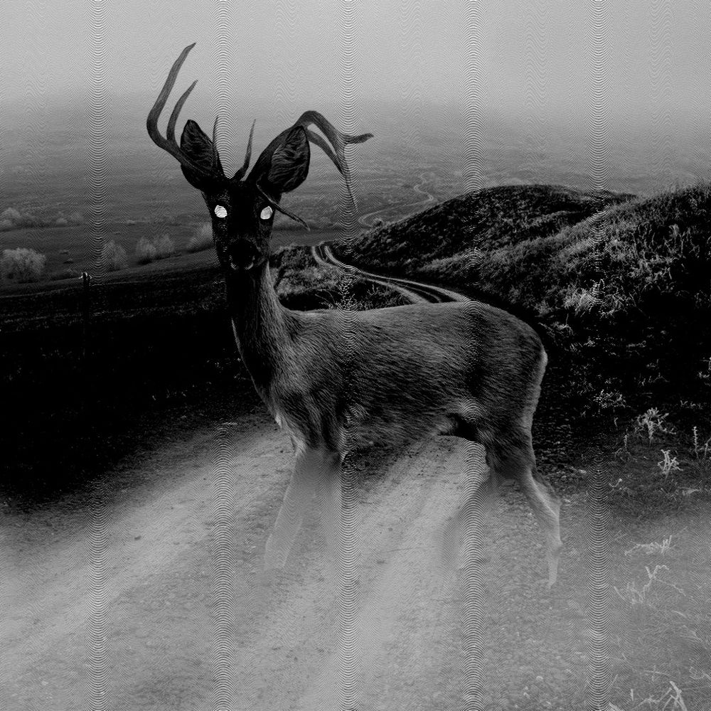 The Deer Is Messed Up
