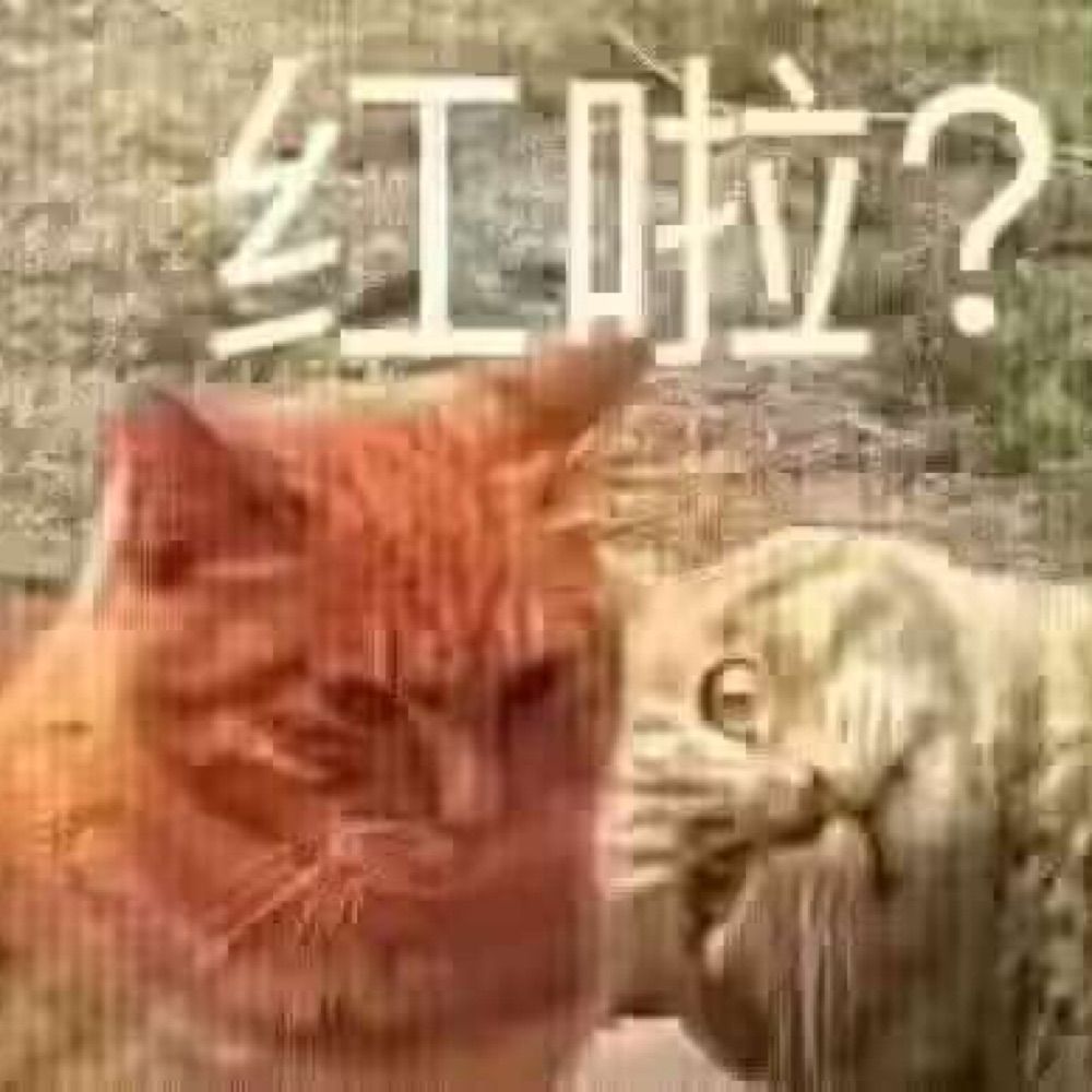 汪汪碎冰冰