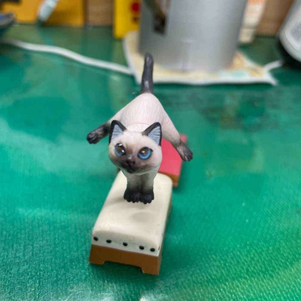 ねこワンワン