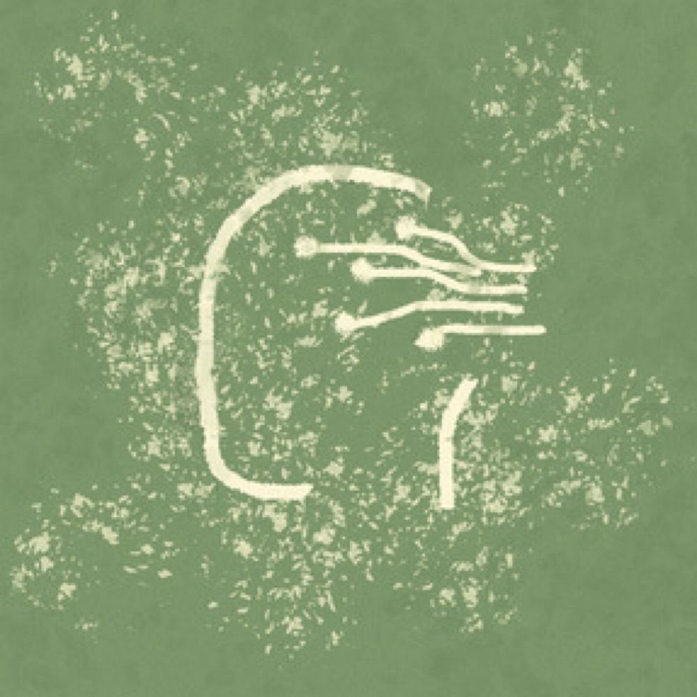 Eluvium