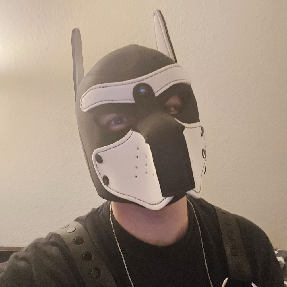 pup kodi