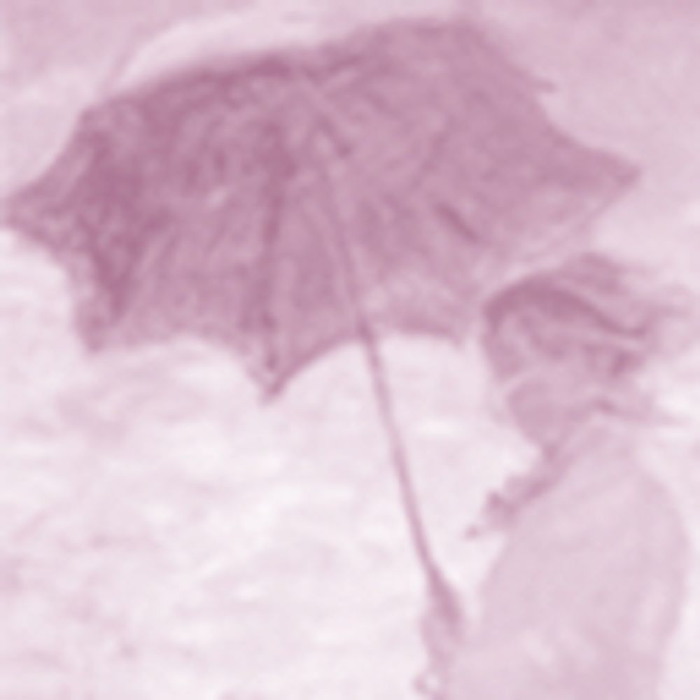 mountseleya.bsky.social profile picture