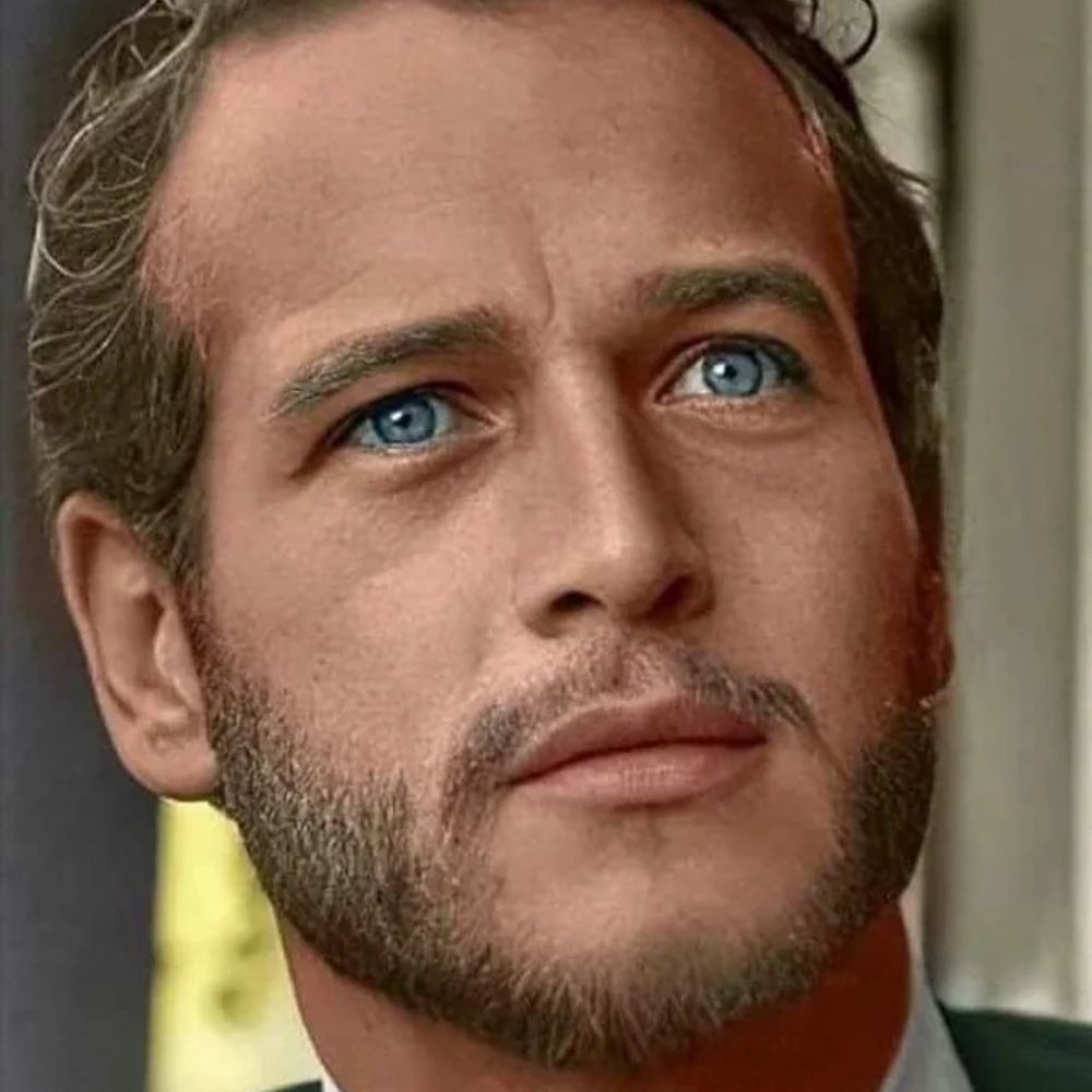 David73
