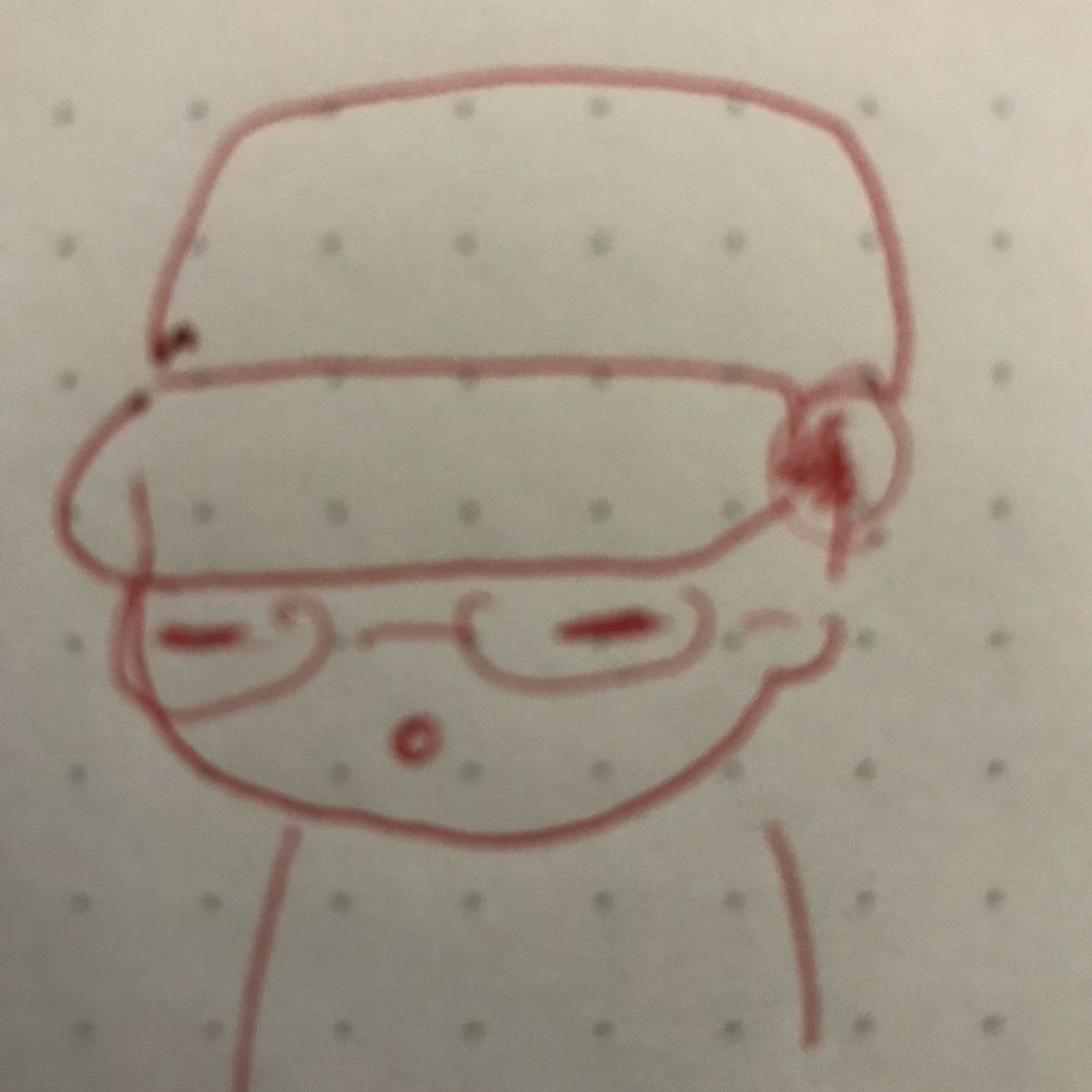 謎のわがまま猫