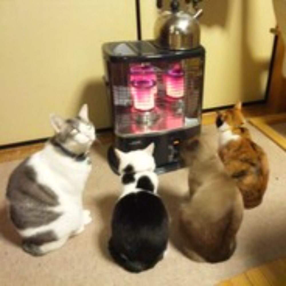 めんちじゃっきー（noramenti）