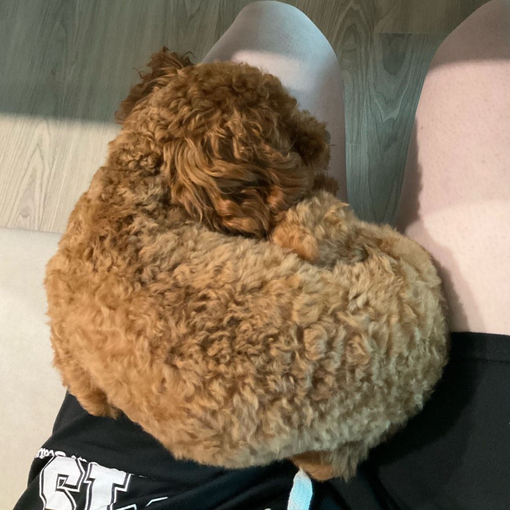 콰지
