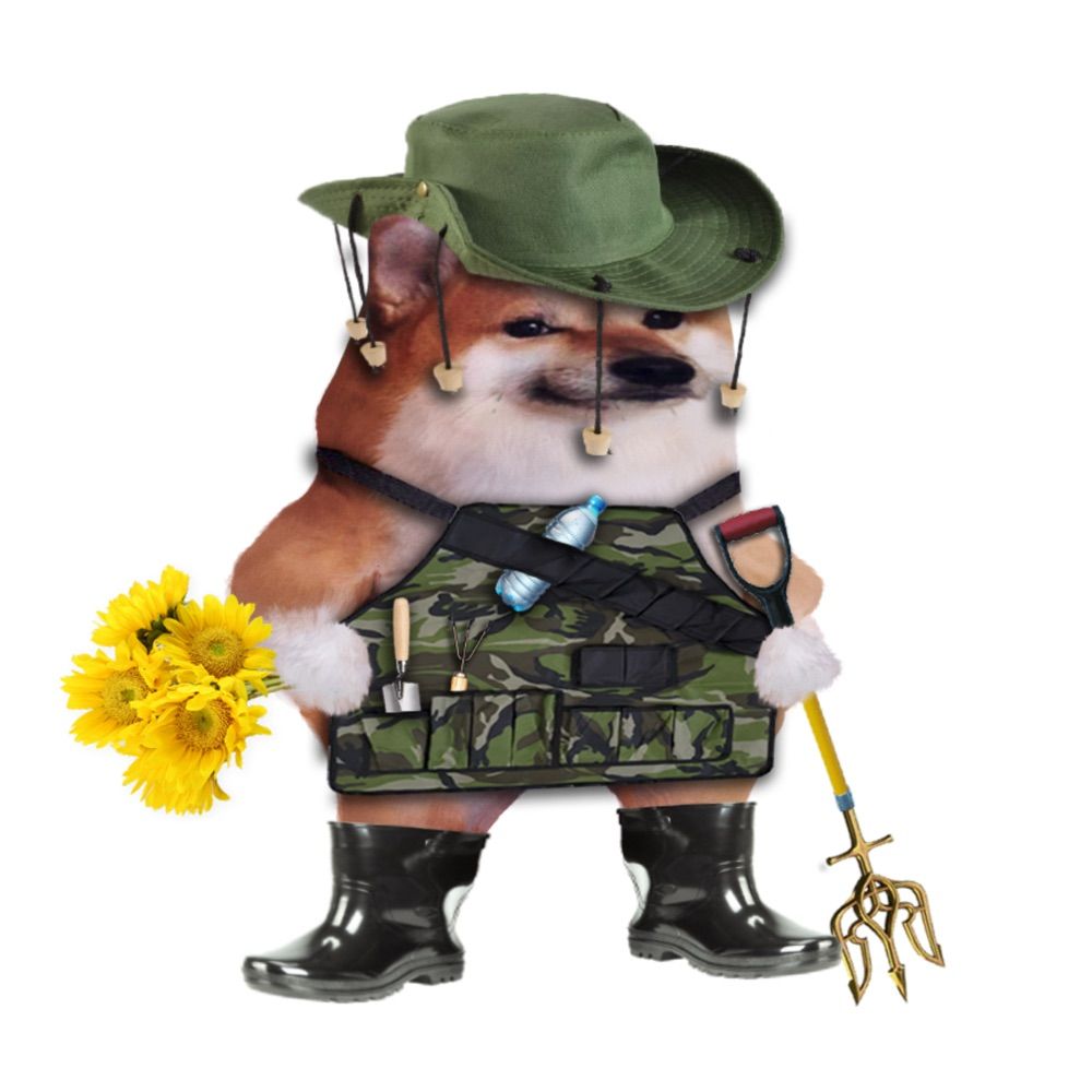 Miss Twitch