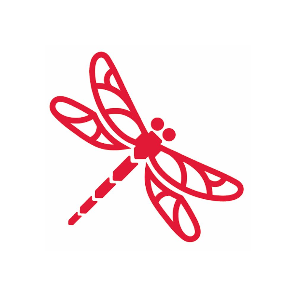 Project Dragonfly