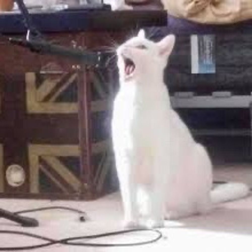 Kit