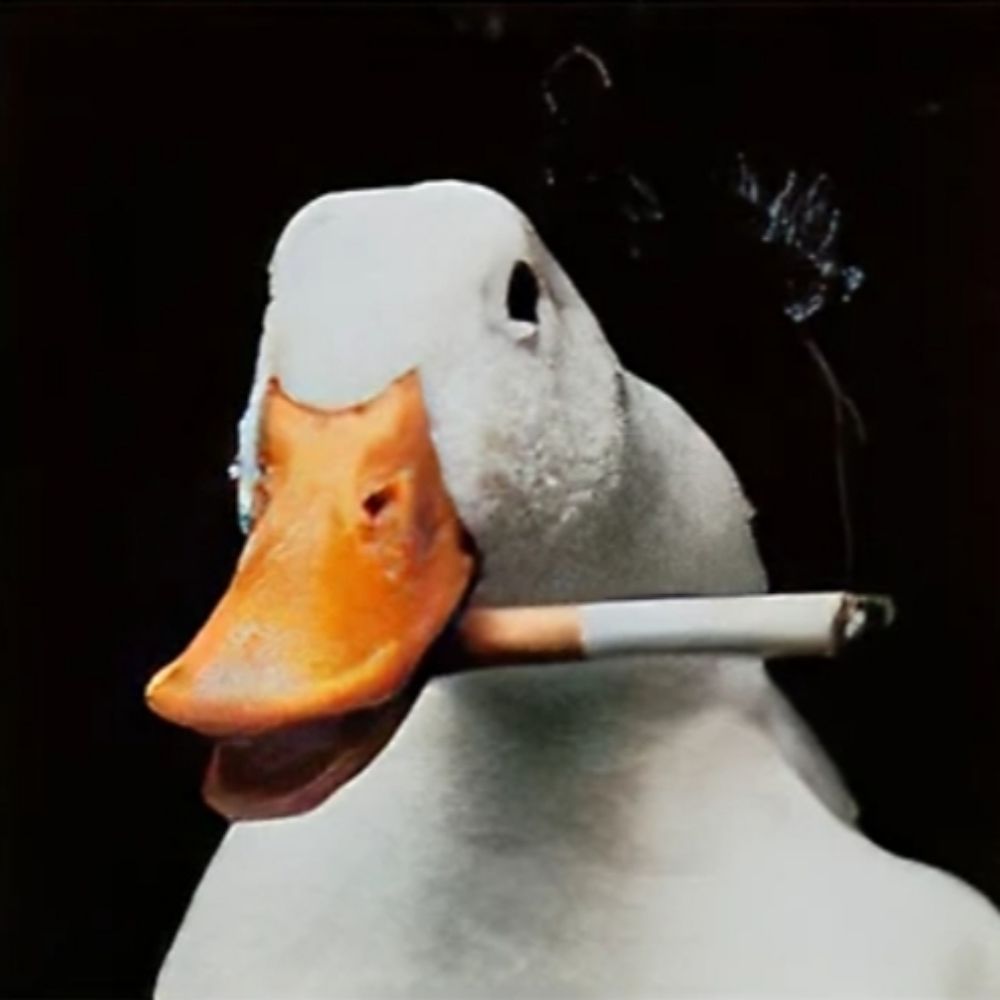 joão 