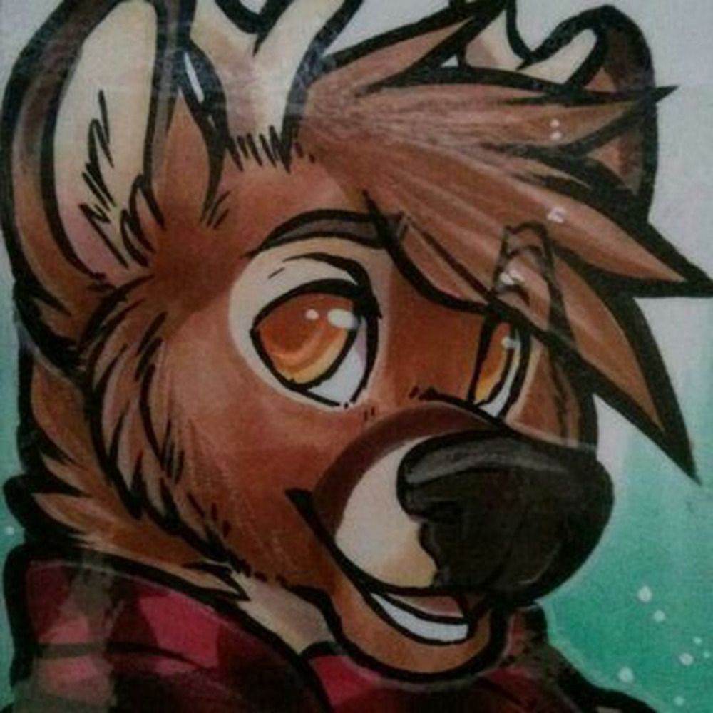 16BITDURRFACE
