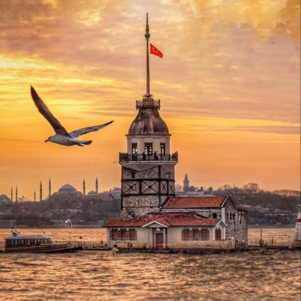 İmpala
