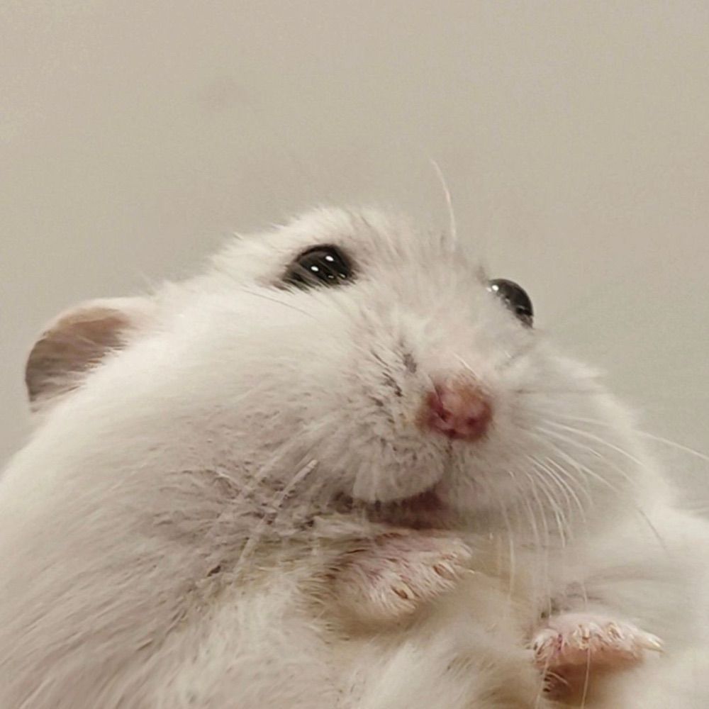쥑쥑