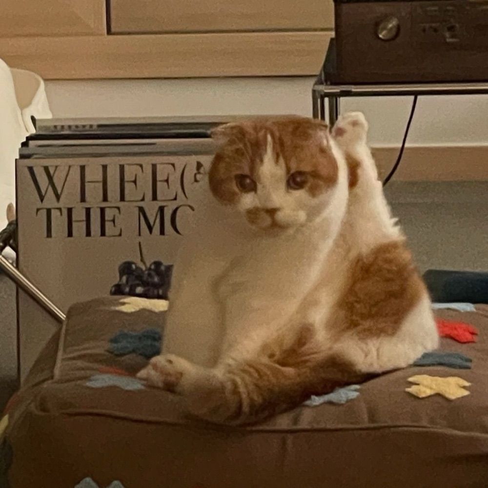 滴欸恩🐾