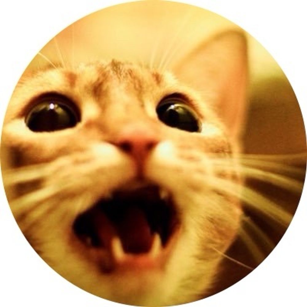 ほんもろこ