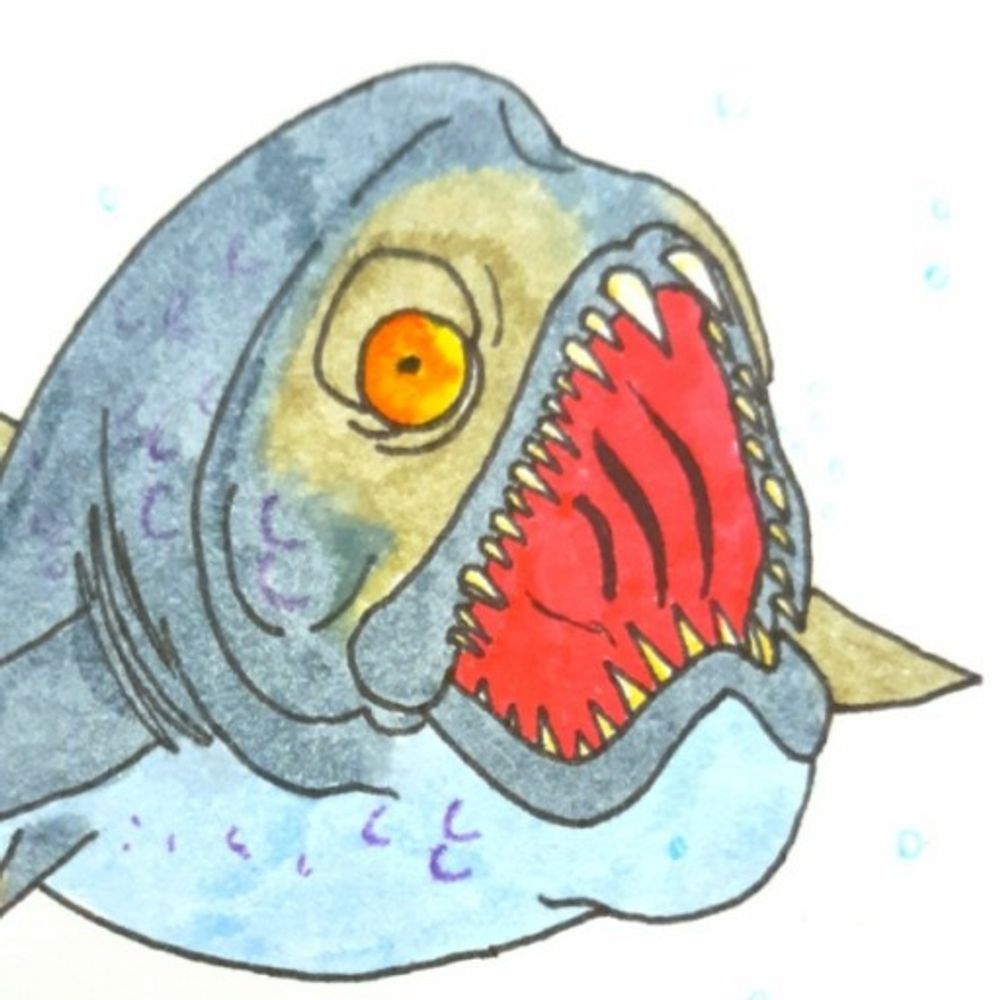 Fish