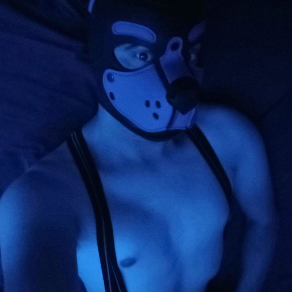 KinkyBluFox