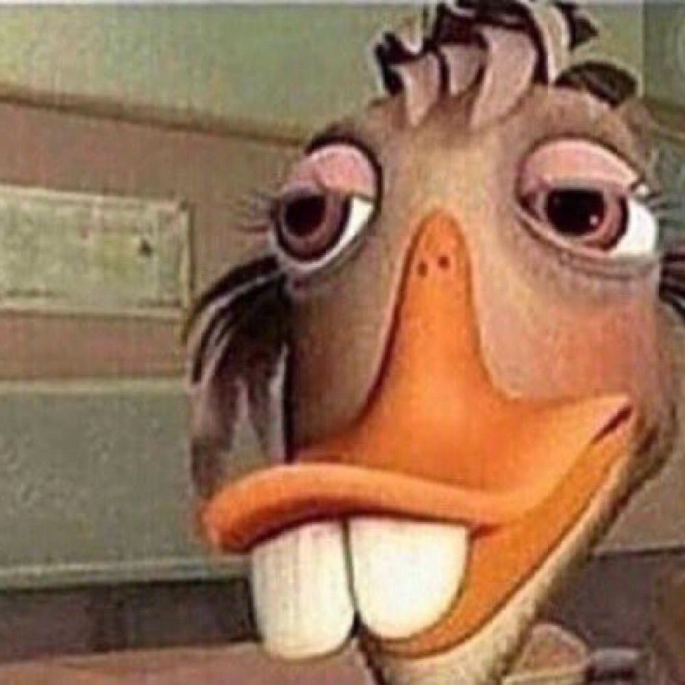 Timmy