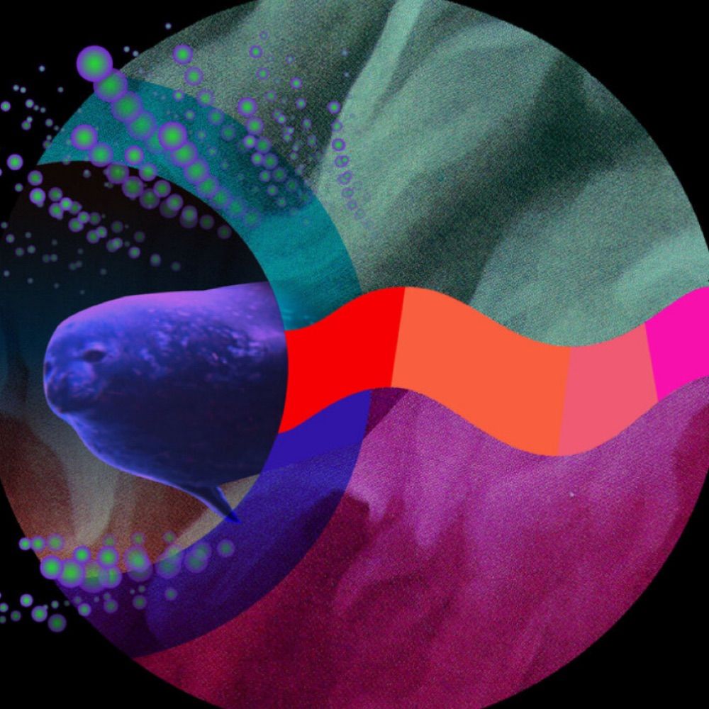 Planetudes