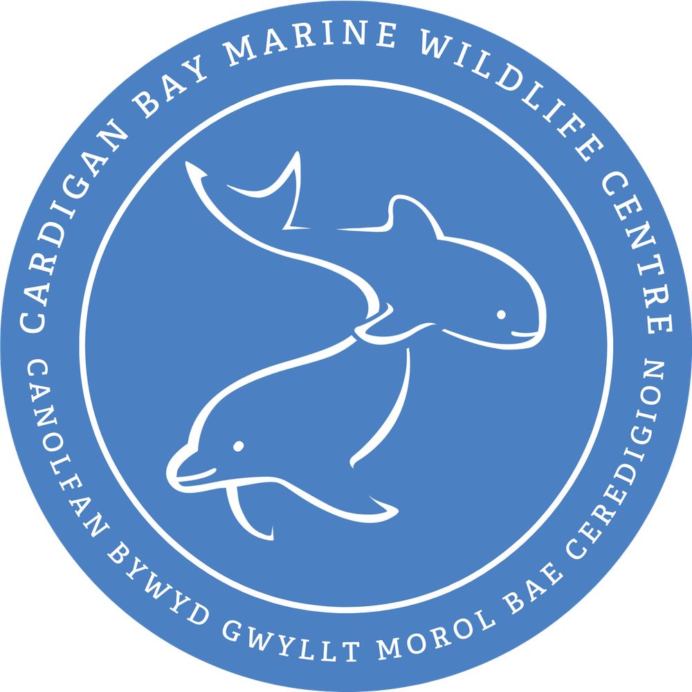 CBMWC