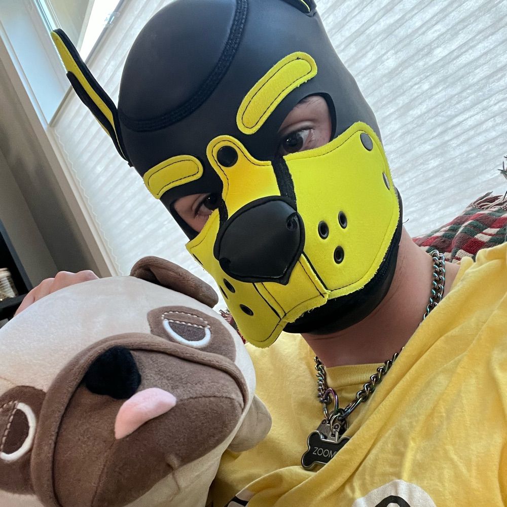 Pup Zoomy 🔜 BFC