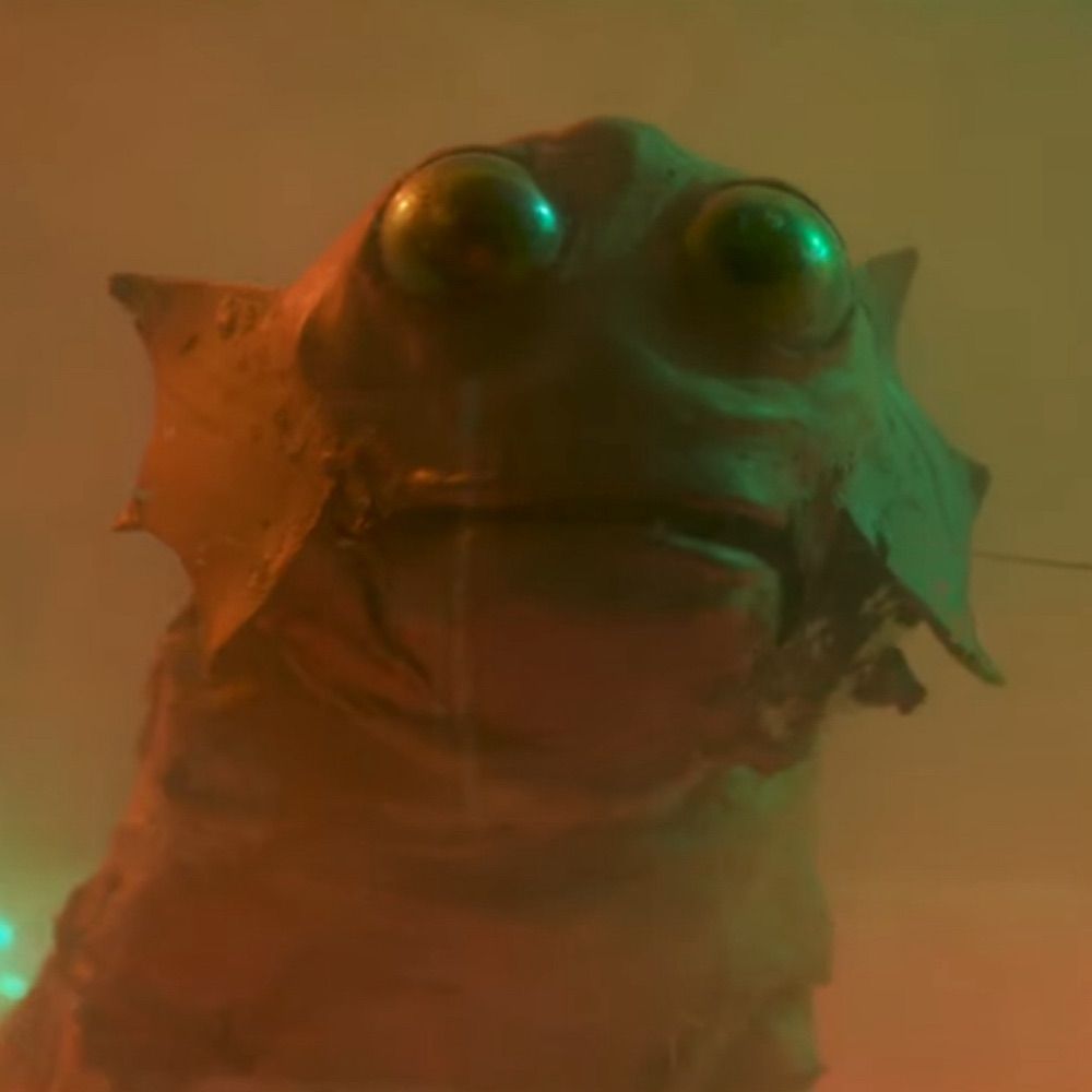 Fish