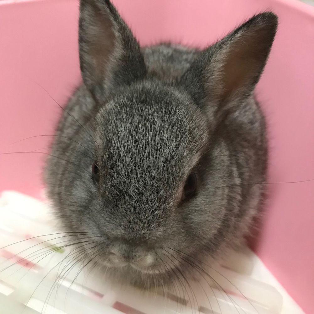 愛西店の主任