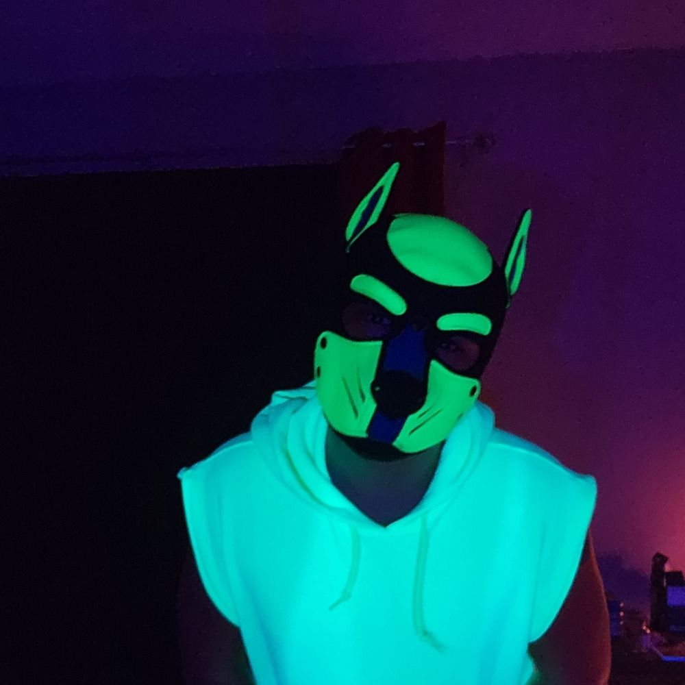 Pup Paktu